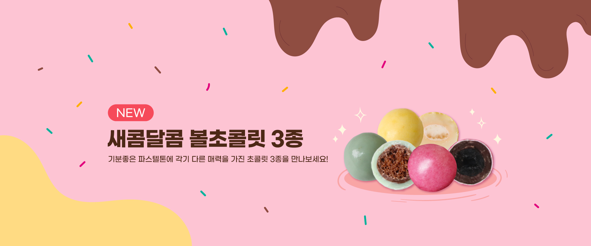NEW초콜릿(3종)